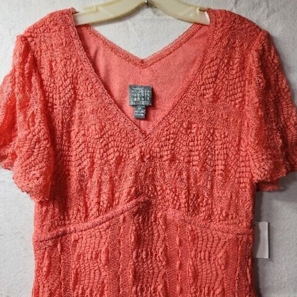 Nwt  Coral  Lined Lace Dress Size 6